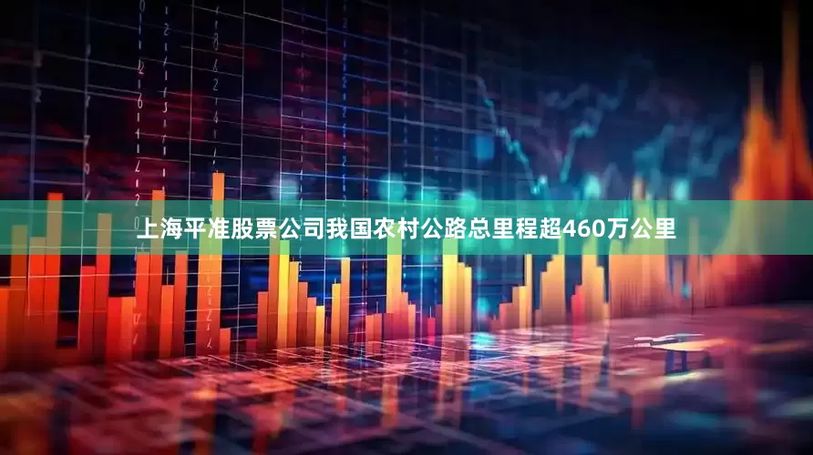 上海平准股票公司我国农村公路总里程超460万公里