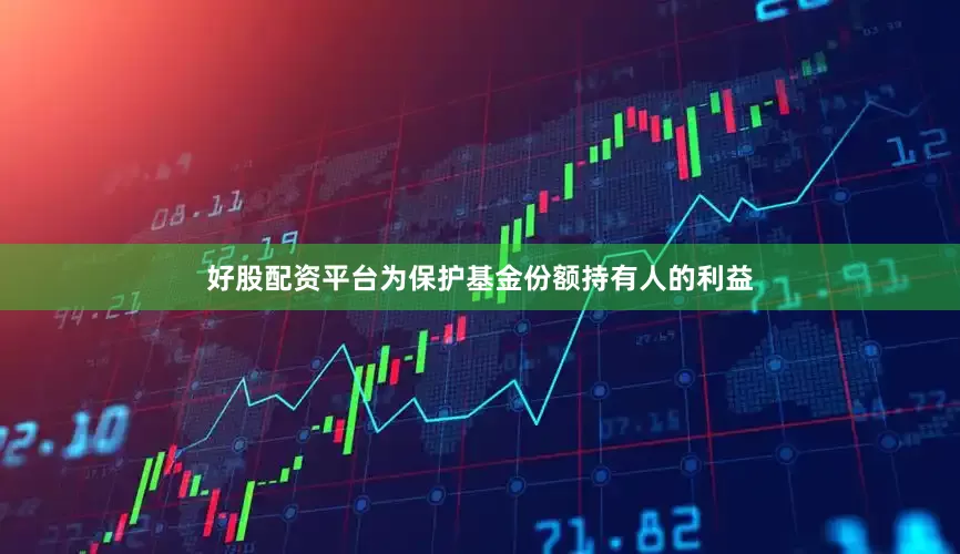 好股配资平台为保护基金份额持有人的利益