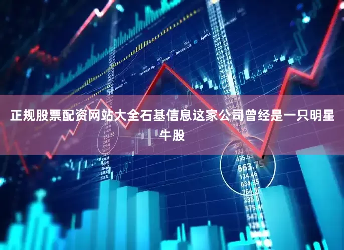 正规股票配资网站大全　　石基信息这家公司曾经是一只明星牛股